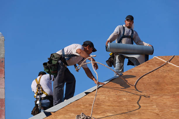 Best Roof Maintenance Services  in Ville Ptte, LA