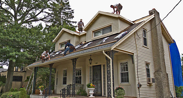Best Roof Gutter Cleaning  in Ville Ptte, LA